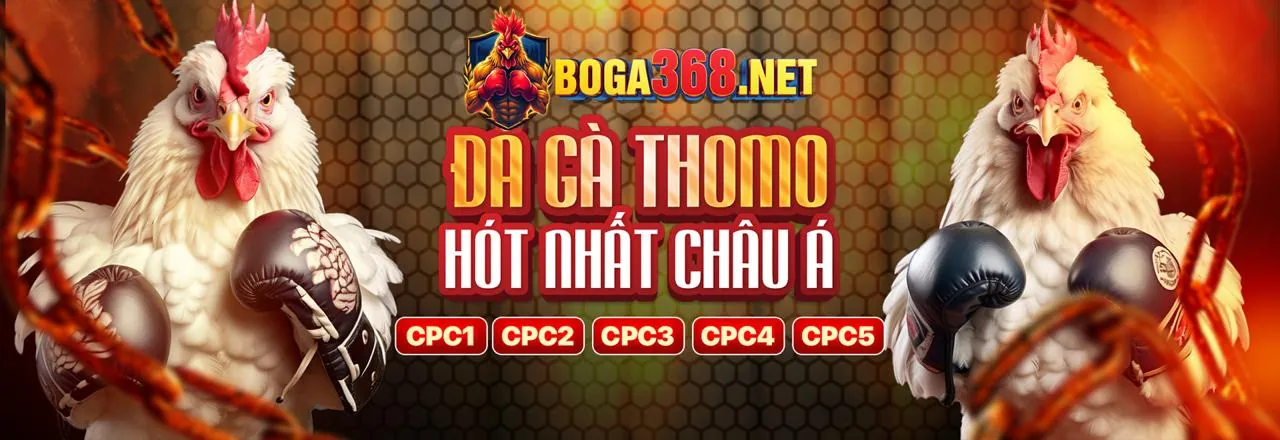 Đá Gà và Đua Ngựa tại bd88 nhà cái