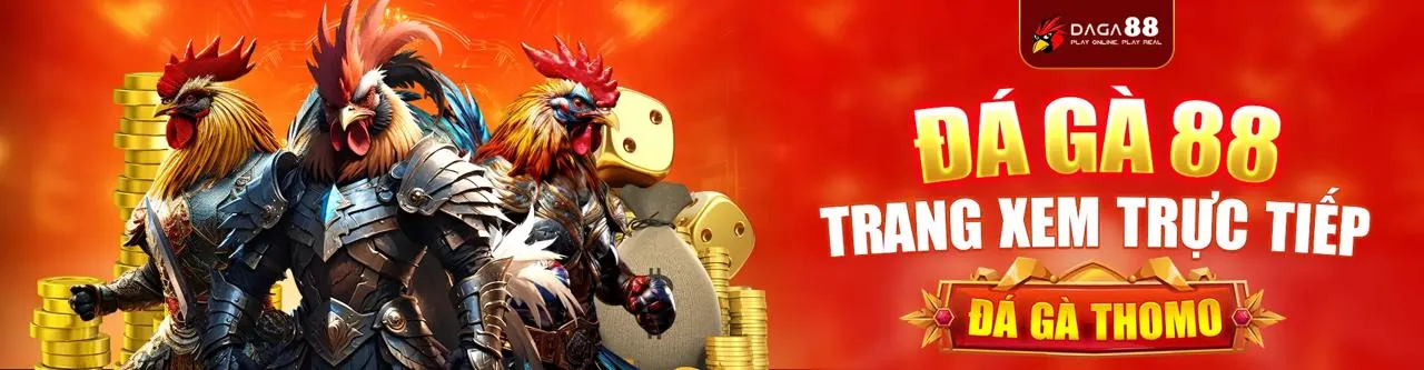 Hình ảnh tổng hợp các môn thể thao khác nhau như bóng đá, bóng rổ, eSports trên nền tảng cá cược BD88 Nhà Cái